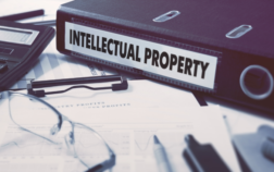 OWNERSHIP OF INTELLECTUAL PROPERTY DEVELOPED IN THE COURSE OF EMPLOYEMENT