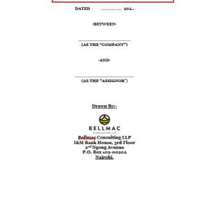 Intellectual Property Assignment